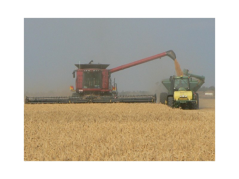 Condamine QLD 4416