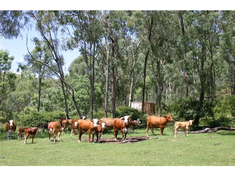 Wengenville QLD 4615