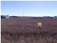 Lot 31 Diamond Drive, Dalby QLD 4405