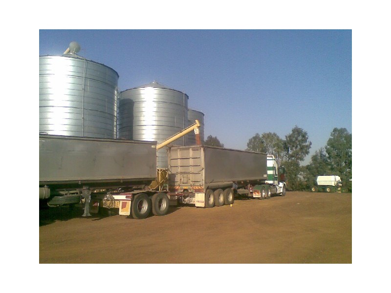 Macalister QLD 4406