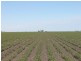 Macalister QLD 4406