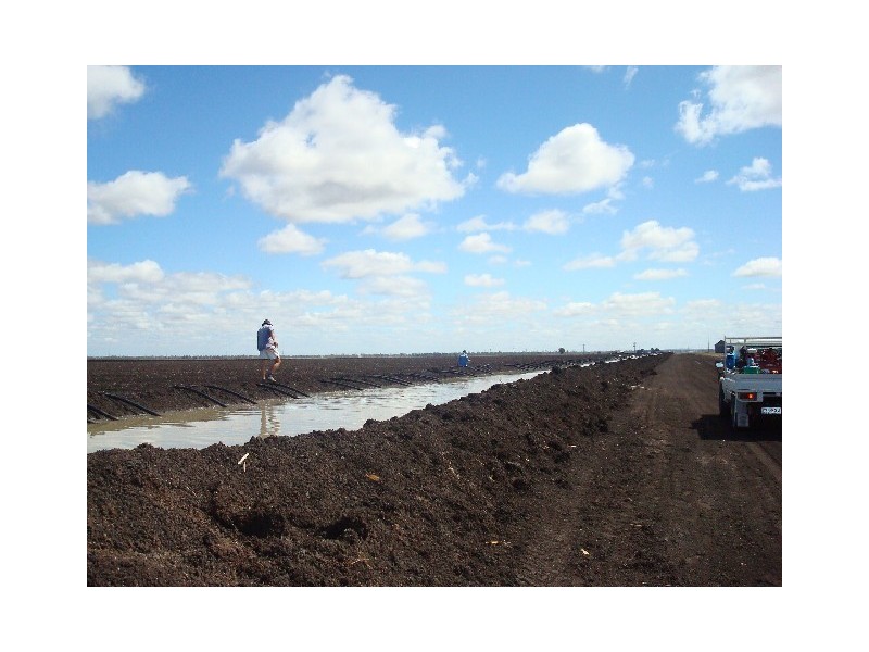 Macalister QLD 4406