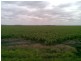 Macalister QLD 4406