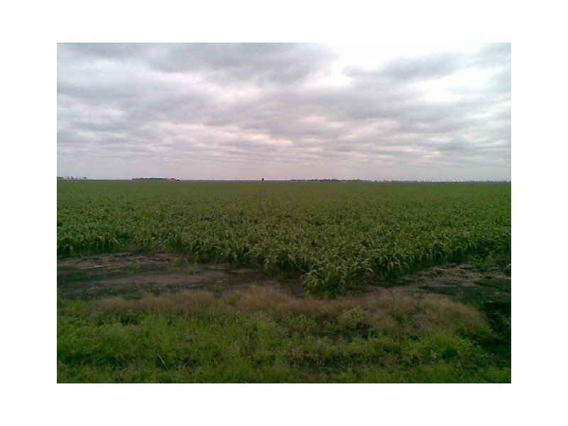Macalister QLD 4406