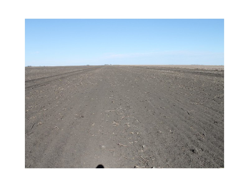Macalister QLD 4406