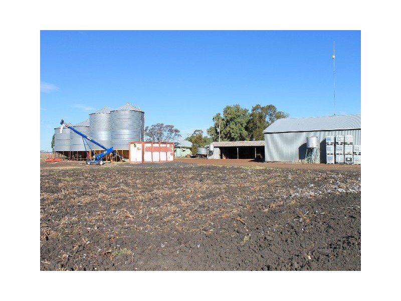 Macalister QLD 4406