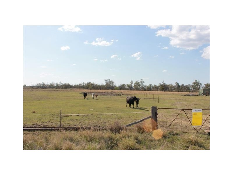 Dalby QLD 4405