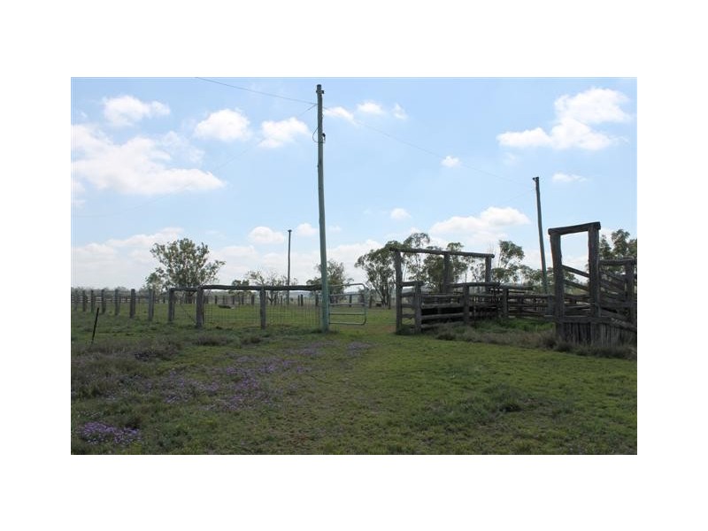 98 Mahoneys Road, Irvingdale QLD 4404