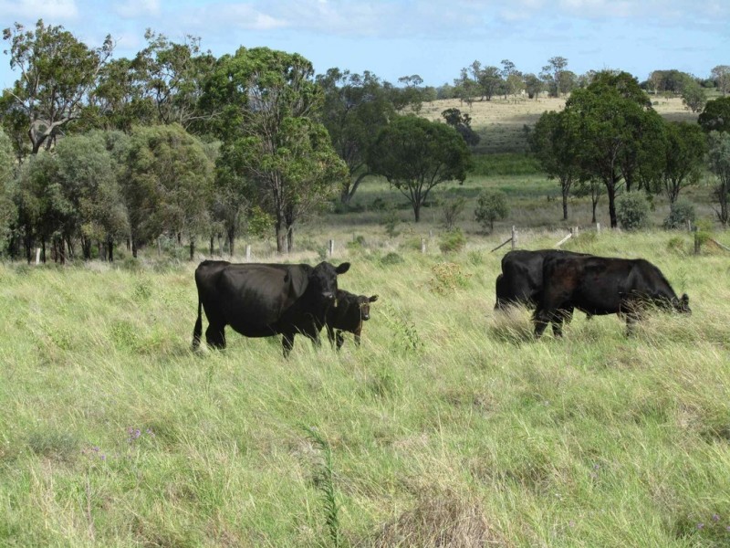 Quinalow QLD 4403