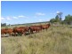 196 OLD BURRANDOWAN ROAD, Dalby QLD 4405