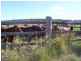 196 OLD BURRANDOWAN ROAD, Dalby QLD 4405