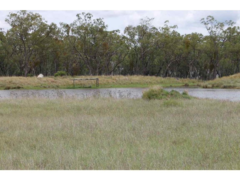 196 OLD BURRANDOWAN ROAD, Dalby QLD 4405