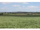. BONAC, Dalby QLD 4405