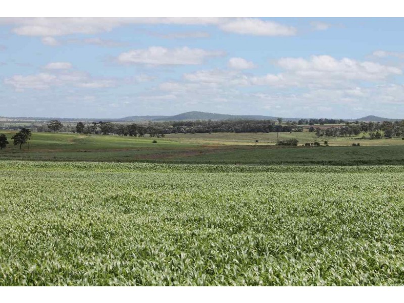 . BONAC, Dalby QLD 4405