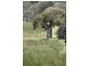 Maclagan QLD 4352