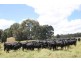 Jandowae QLD 4410