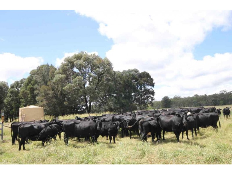 Jandowae QLD 4410