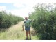 Jandowae QLD 4410