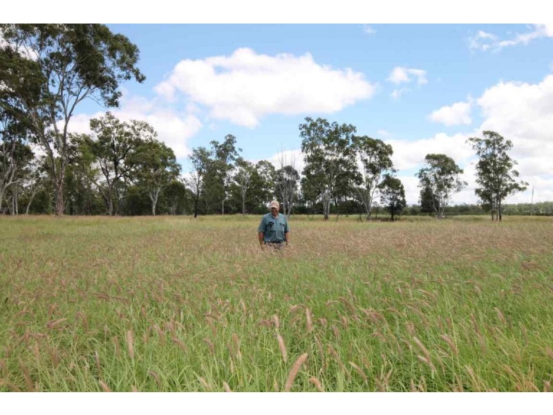 Jandowae QLD 4410