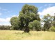 Jandowae QLD 4410