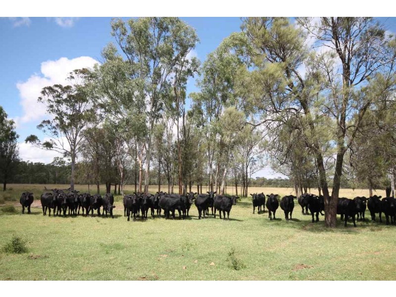 Jandowae QLD 4410