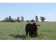 Jandowae QLD 4410