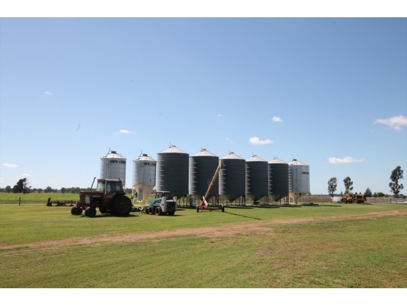 Jandowae QLD 4410
