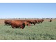 Jandowae QLD 4410