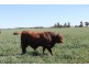 Jandowae QLD 4410