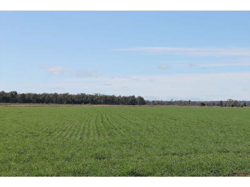 Jandowae QLD 4410