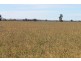 Jandowae QLD 4410