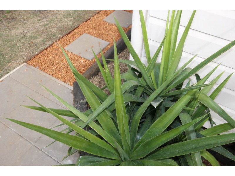 28 Garrow Street, Dalby QLD 4405