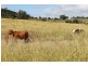 Dalby QLD 4405