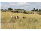 Dalby QLD 4405