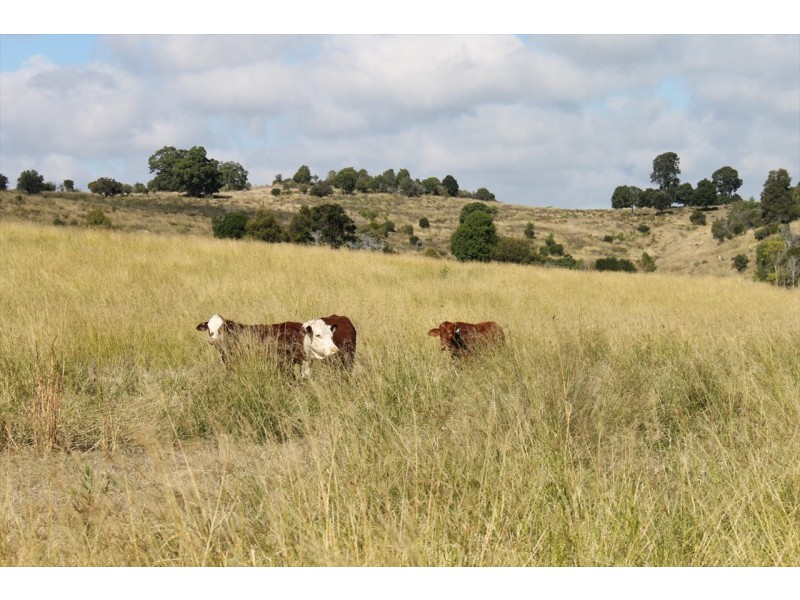 Dalby QLD 4405