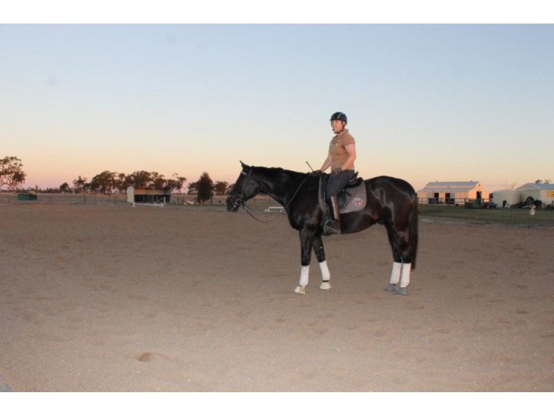 85 Southern Cross Drive, Dalby QLD 4405