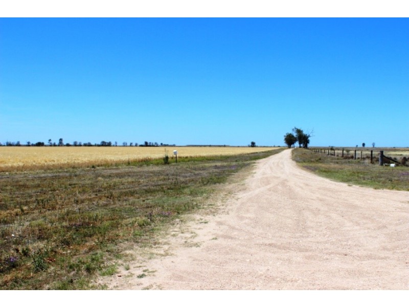Dalby QLD 4405