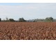 Dalby QLD 4405