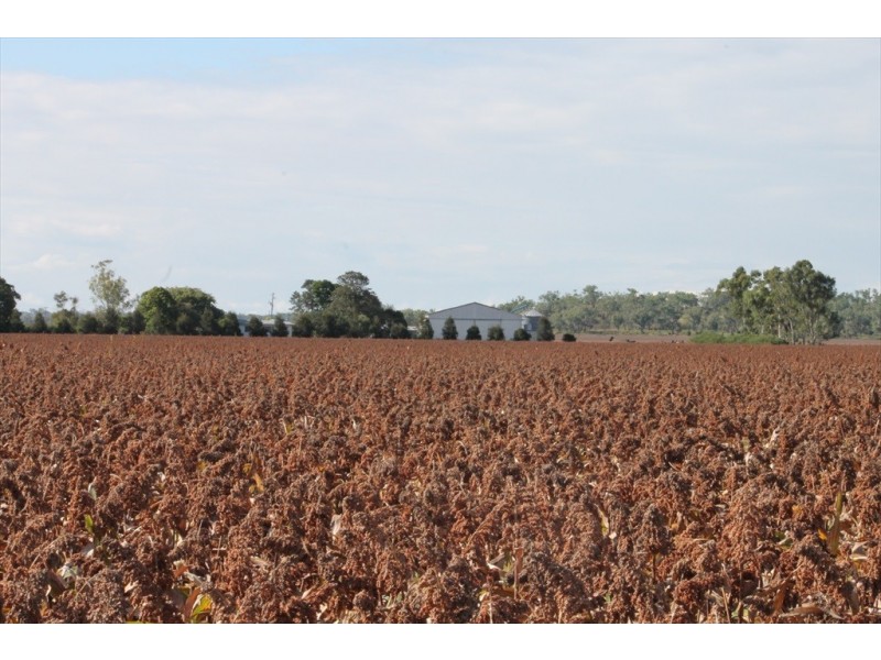 Dalby QLD 4405