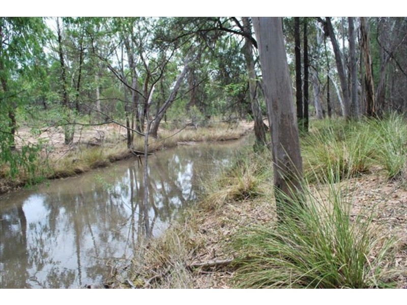 Kogan QLD 4406