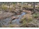 Kogan QLD 4406