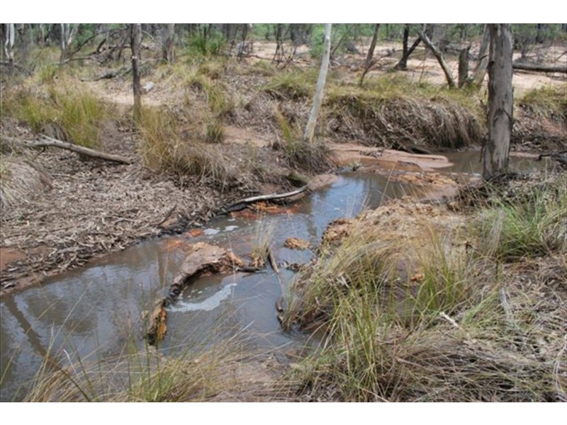 Kogan QLD 4406