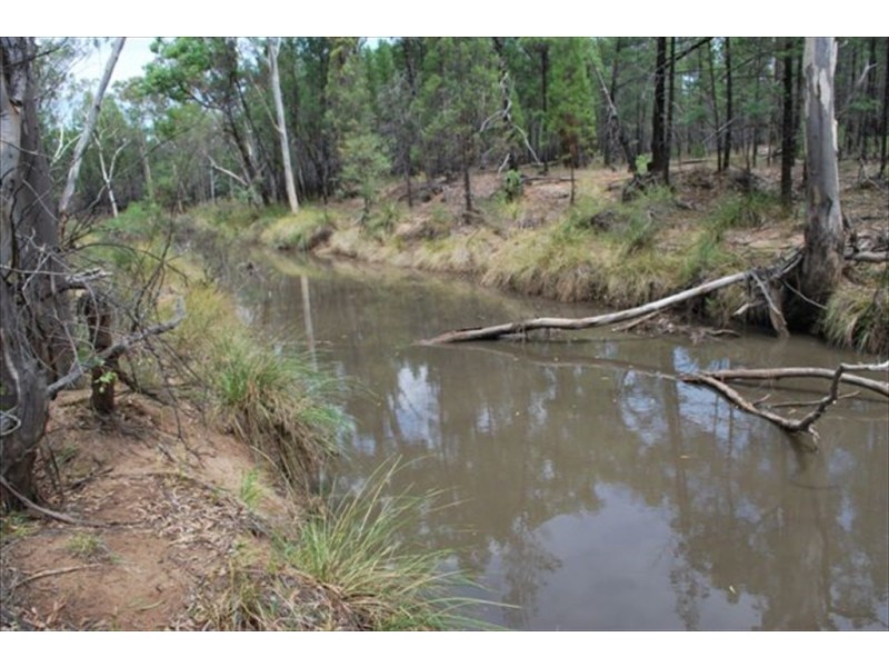 Kogan QLD 4406