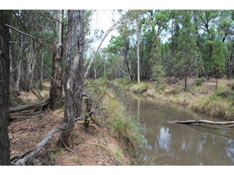 Kogan QLD 4406