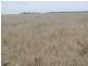 Cecil Plains QLD 4407
