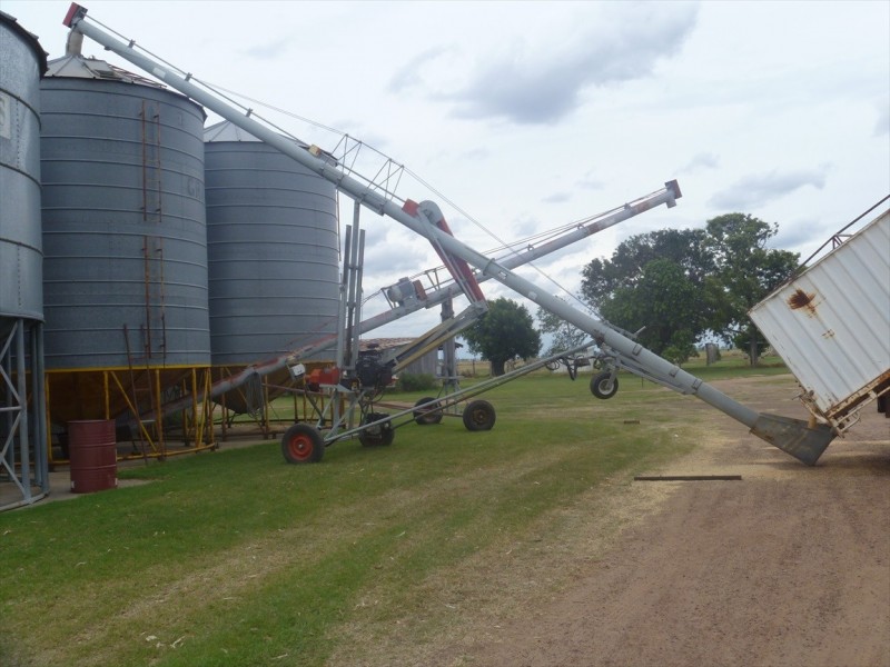 Cecil Plains QLD 4407