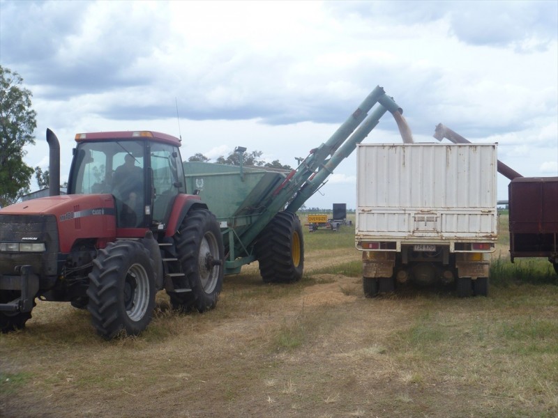 Cecil Plains QLD 4407
