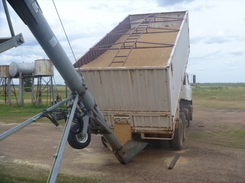 Cecil Plains QLD 4407