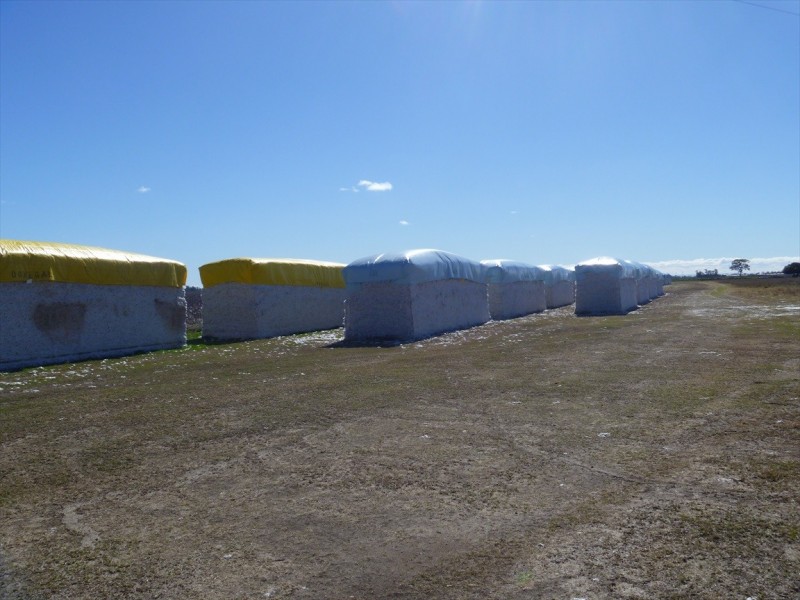 Cecil Plains QLD 4407