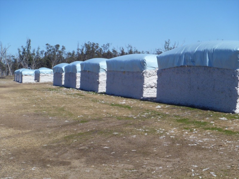 Cecil Plains QLD 4407